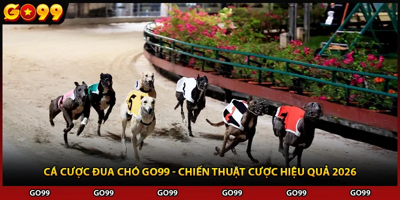 Cá Cược Đua Chó Go99 - Chiến Thuật Cược Hiệu Quả 2026