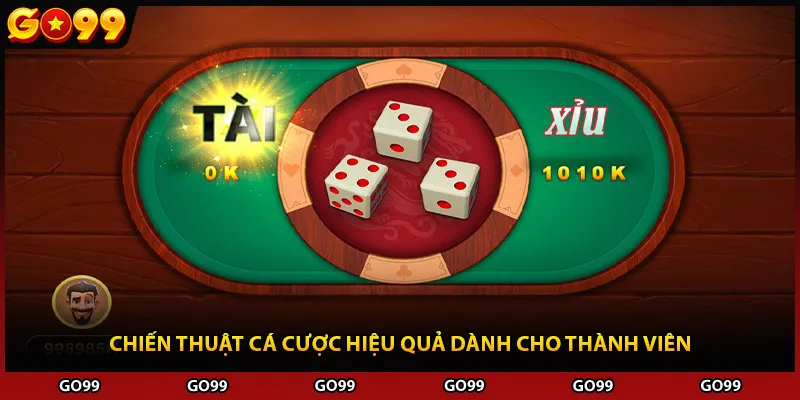 Chiến thuật cá cược hiệu quả dành cho thành viên