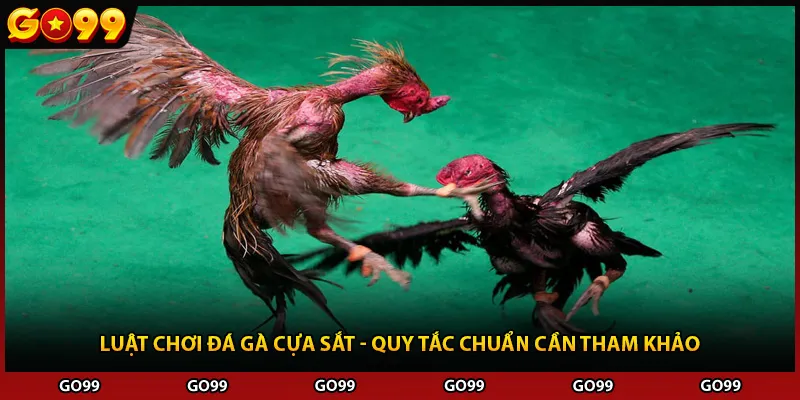 Luật Chơi Đá Gà Cựa Sắt - Quy Tắc Chuẩn Cần Tham Khảo