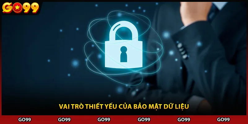 Vai trò thiết yếu của bảo mật dữ liệu